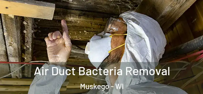  Air Duct Bacteria Removal Muskego - WI