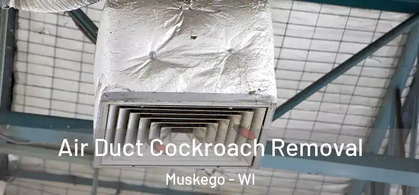  Air Duct Cockroach Removal Muskego - WI