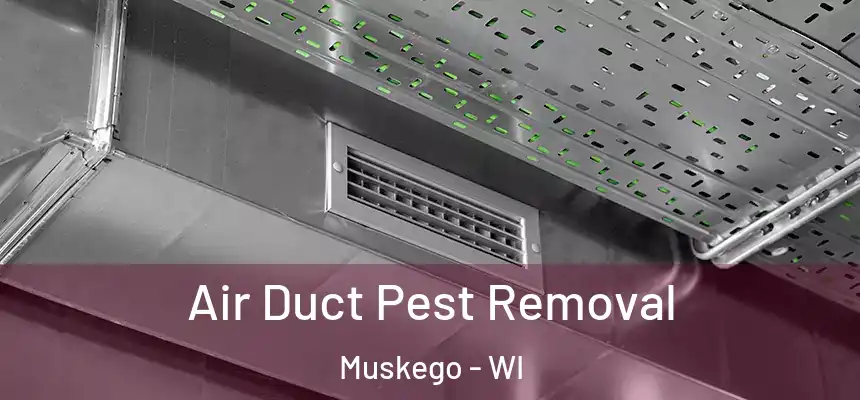  Air Duct Pest Removal Muskego - WI