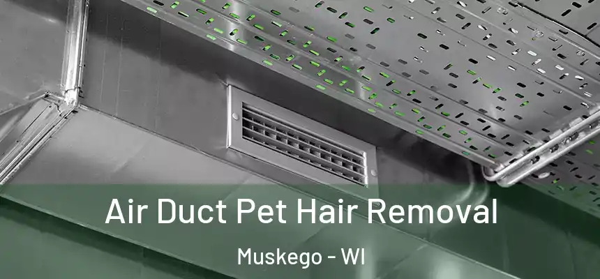 Air Duct Pet Hair Removal Muskego - WI