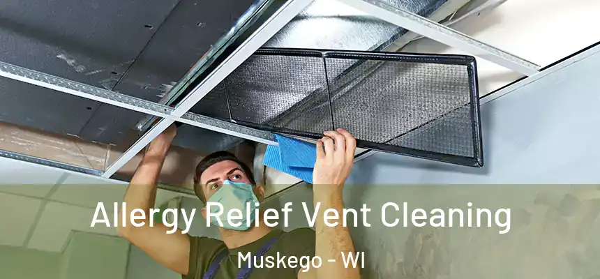 Allergy Relief Vent Cleaning Muskego - WI