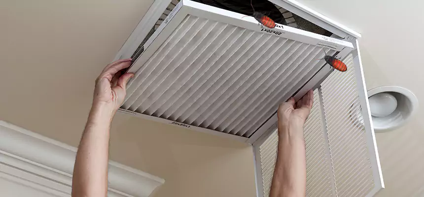 Our Insect Removal from Air Ducts Services in Muskego, WI