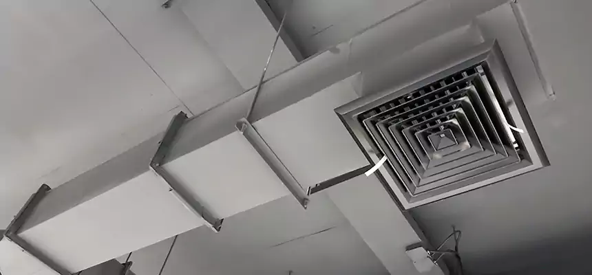 Our Rodent Droppings In Vents Services in Muskego, WI