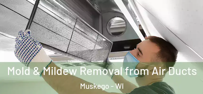Mold & Mildew Removal from Air Ducts Muskego - WI