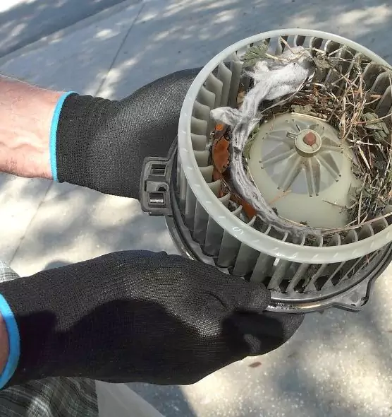 About Air Duct Rat Removal in Muskego, WI