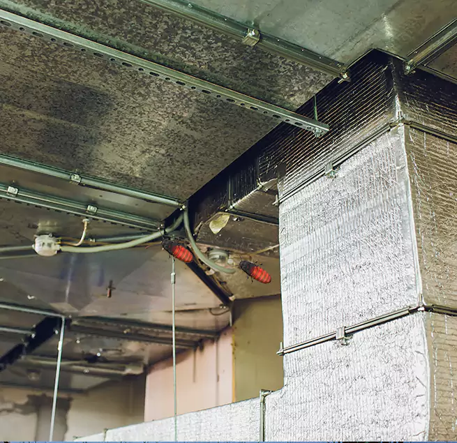 Why Homeowners & Businesses Trust Us in Muskego, WI?