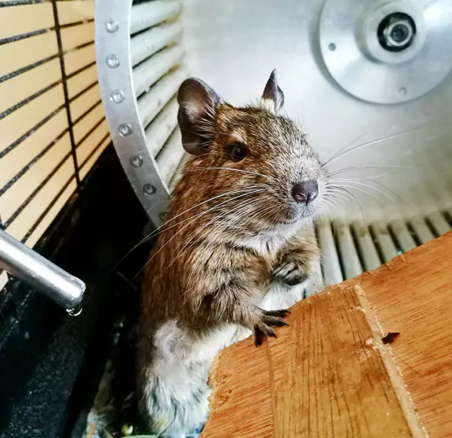 Why Homeowners & Businesses Trust Us Muskego, WI?