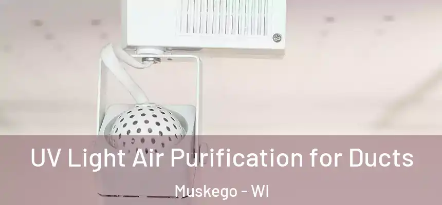  UV Light Air Purification for Ducts Muskego - WI